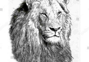 Lion With Dreads Drawing at PaintingValley.com | Explore collection of ...