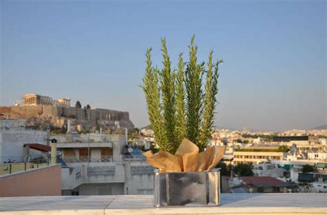 Acropolis Hill Hotel Athens Greece - Acropolis Hill Hotel Review, Photos