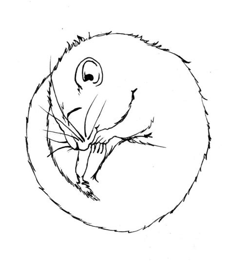 line drawing dormouse - Google Search | Art quilts, Line drawing ...