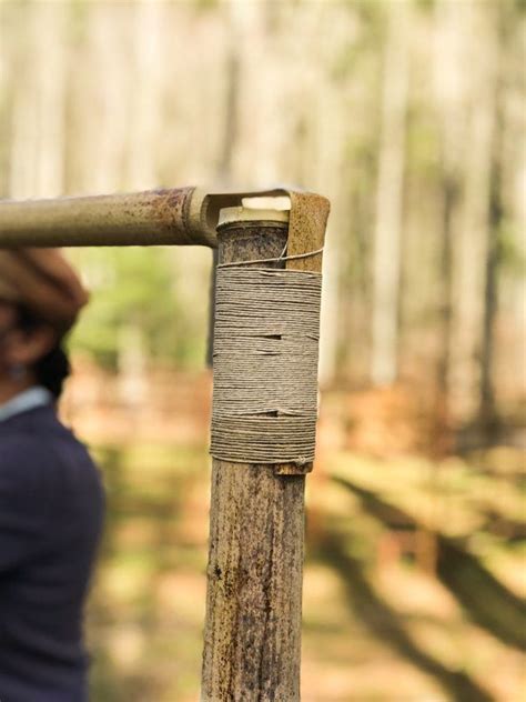 DIY Bamboo Screening | Bamboo screening, Bamboo diy, Bamboo fence