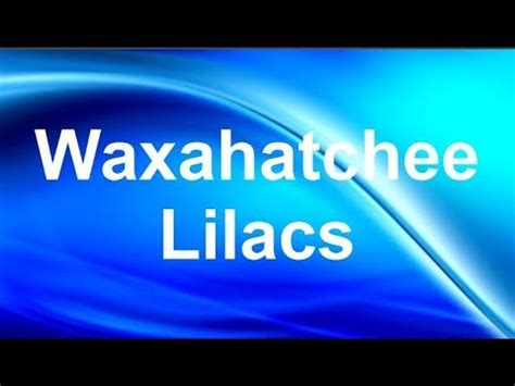 Waxahatchee Lilacs Lyrics Song Lyrics - YouTube