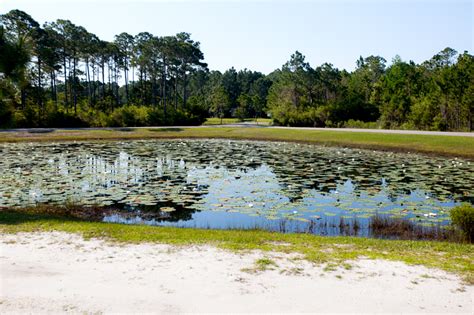 Hiking in Florida | Grayton Beach and Topsail Hill Preserve - Brownie Bites Blog