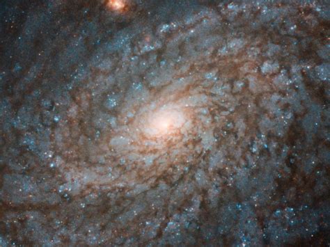 This Galaxy is the Very Definition of "Flocculent" - Universe Today