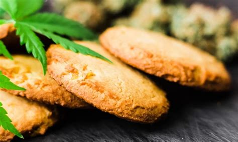 CBD Cookies Recipe