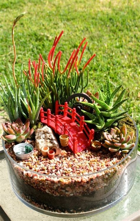 Mini succulent garden : somethingimade