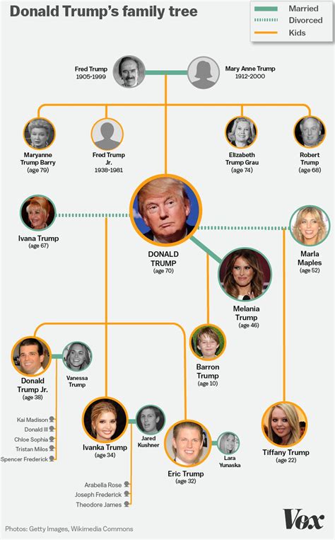 The entire Donald Trump family tree, in one graphic - Vox