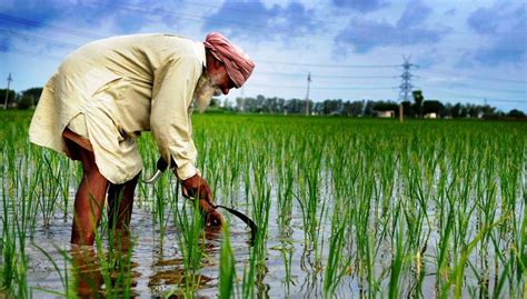 What about farming in Punjab budget: Spike in outlay, ‘token’ for debt waiver, and call to ...