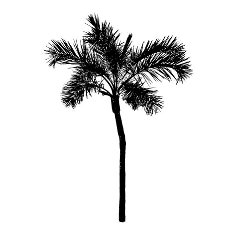 Palm tree silhouette on white | Premium Vector - rawpixel