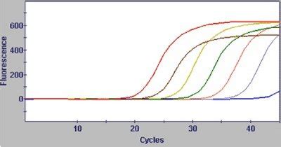 BE.109:Systems engineering/RT-PCR data analysis - OpenWetWare