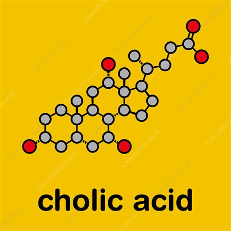 Cholic acid molecule, illustration - Stock Image - F027/8339 - Science ...