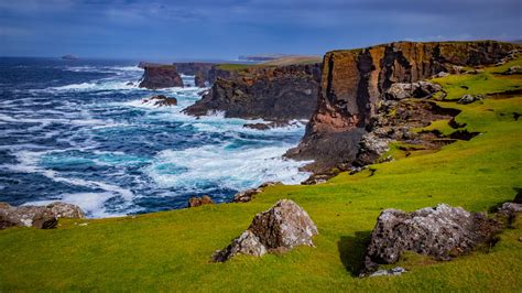 Why Wildlife Lovers Should Add The Shetland Islands To Their Scotland Itinerary