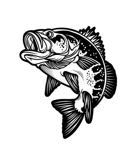 Largemouth Bass Black White Stock Illustrations – 248 Largemouth Bass ...