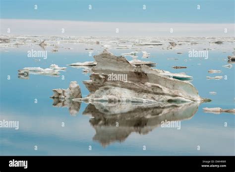 Chukchi Sea Stock Photo - Alamy