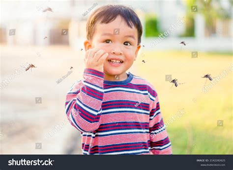 11,845 Niño Mosquito Images, Stock Photos & Vectors | Shutterstock