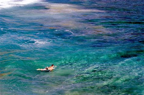 Coral Reef | A surfer paddles out to catch some waves in a r… | Flickr