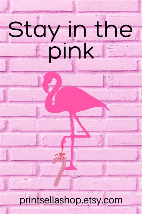 a pink flamingo on a brick wall with the words stay in the pink above it