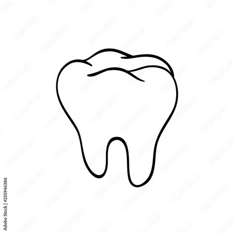 Tooth Logo. Hand-drawn black lines sketch molar. Doodle drawing ...