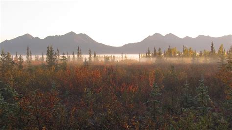 Kobuk Valley National Park, US Vacation Rentals: & more | Vrbo