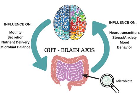 The Gut-Brain Connection & IBS: It’s Not All in Your Head - FODMAP Everyday