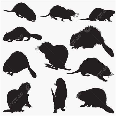 Beavers Silhouette Vector PNG, Beaver Silhouette, Advert, Advertisement ...