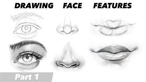 How To Draw A Nose Step By Step From The Front - focistalany