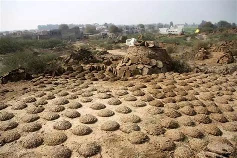 File:Cow dung cakes surround ASI-protected mounds at village Rakhigarhi, Hisar.jpg - Indpaedia