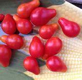 Red Pear Cherry Tomato Seeds, Great for Small Space Gardens and Contai ...