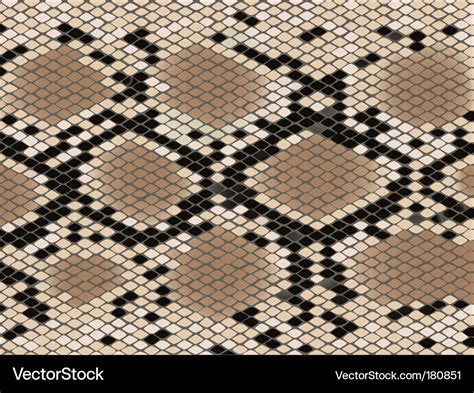 Snake Skin Pattern