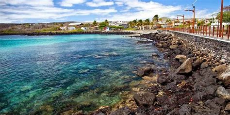 Puerto Baquerizo Moreno, Galápagos, Ecuador. Things to do. Animals - PlanetAndes