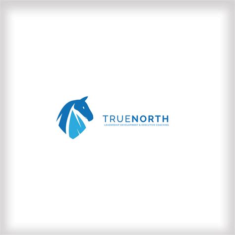 TrueNorth - Logo Branding Project on Behance