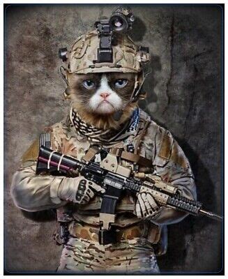 Tactical Cat Operator Sticker Decal (Select your Size) | eBay