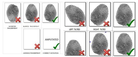 Fingerprint Capturing & Uploading Guidelines - Online Nadra Card Services in UK