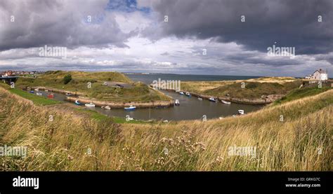 Boats moored at Seaton Sluice harbour Stock Photo - Alamy