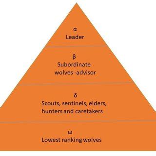 Grey wolf optimizer. Encircling During this procedure, the wolves are... | Download Scientific ...