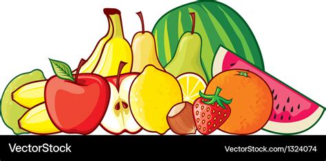 A group of fruits Royalty Free Vector Image - VectorStock