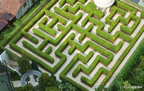 Amazing Maze Garden / Enjoy a Walk in the Garden Maze