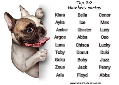 250+ Short dog names | Dognames.info