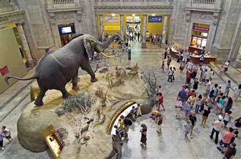 Free museum London free entry museums list