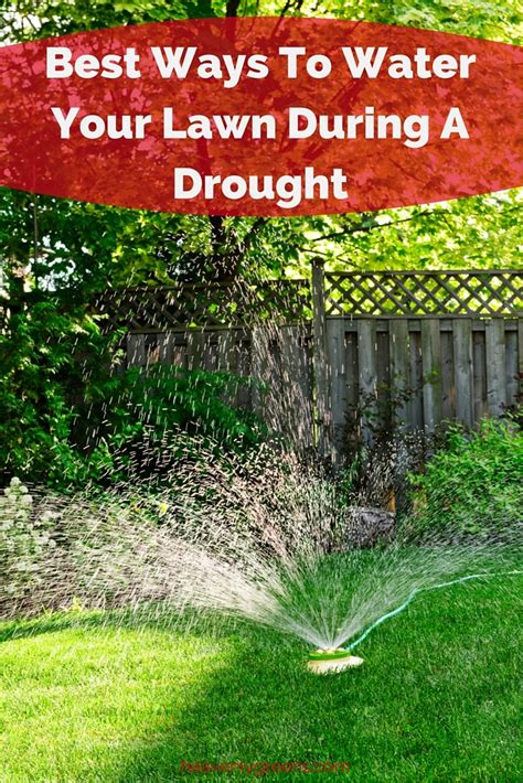 Best Ways To Water Your Lawn During A Drought