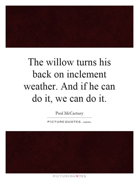 Willow Quotes | Willow Sayings | Willow Picture Quotes