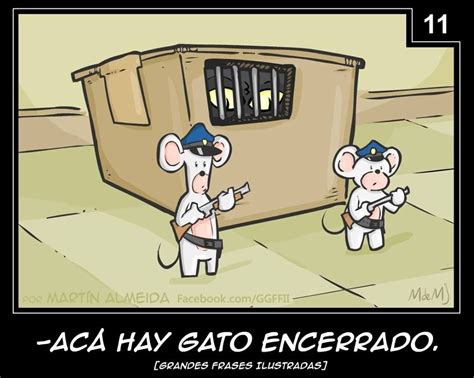 Gato encerrado. | Chistes chistosos, Frases, Frases cómicas