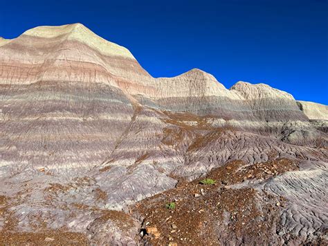 Hike the Historic Blue Forest Trail - WildPathsAZ