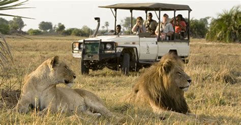 Big 5 Safari -Full day tour. – kamtrans