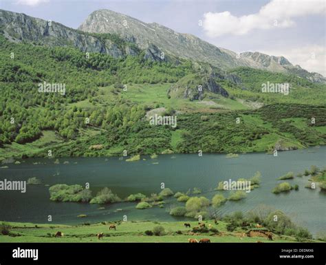 Riaño reservoir. Lario. Leon province. Castilla-Leon. Spain Stock Photo - Alamy