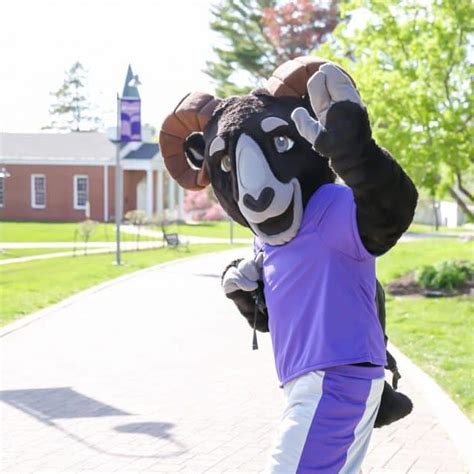 Cornell University Mascot History