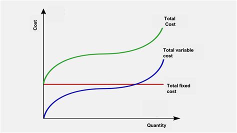 Total Variable Cost: Examples, Curve, Importance