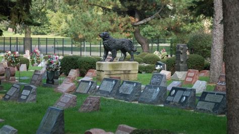 Pet Cemetery 2024 - Goldi Karalee