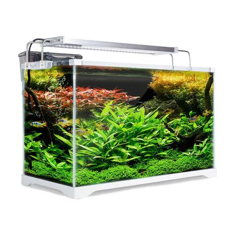 Moulya Aquarium Glass Aquarium Tank, Packaging Type: Carton at Rs 2000 ...