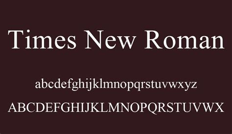 Times new roman truetype font - sayfer