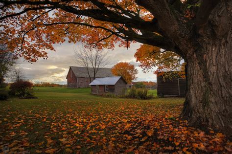 Classic Vermont Fall Foliage Tour (All DAY) - Local Captures